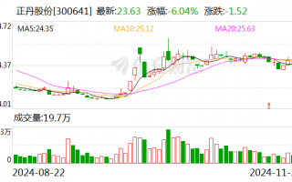 正丹股份：终止2024年度向特定对象发行股票事项